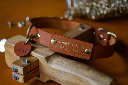 Personalised Leather Pet Collar Workshop
