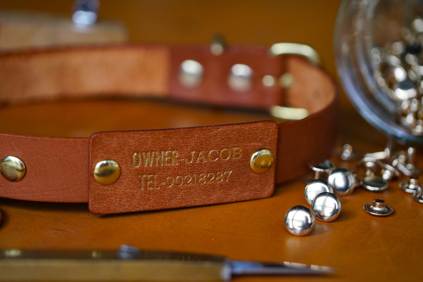 Personalised Leather Pet Collar Workshop